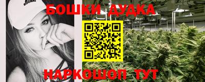 стаф Кинель