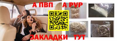 стаф Кинель