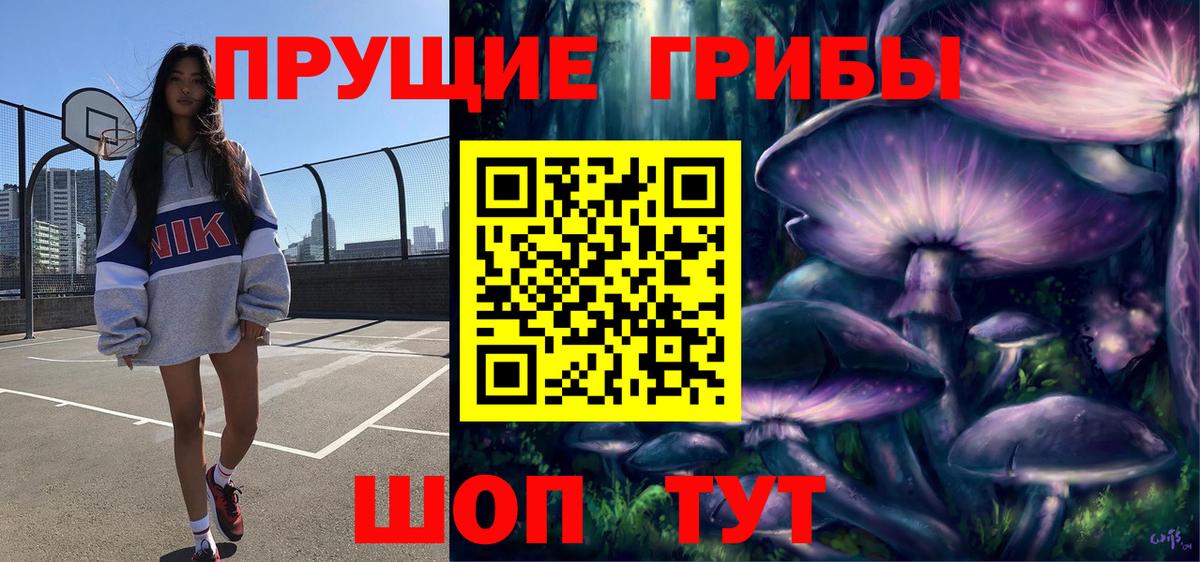 Псилоцибиновые грибы Psilocybine cubensis  Вход с VPN  Балтийск  Галлюциногенные грибы GOLDEN TEACHER 